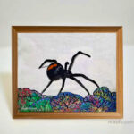 "spider in colorful life"